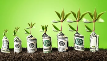 Plants growing out of dollars in dirt